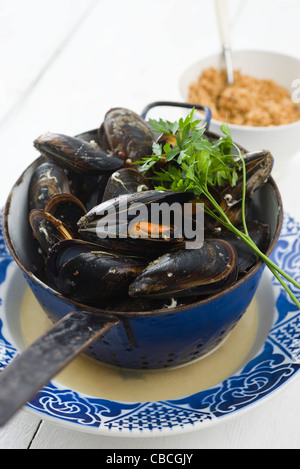 Muscheln mit Weißwein, Knoblauch und Semmelbrösel Stockfoto