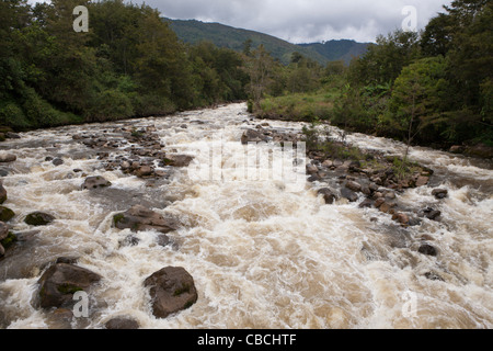 Wamena Fluss im Baliem-Tal, West-Papua, Indonesien Stockfoto