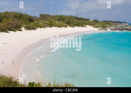 Bermuda. Horseshoe Bay Strand, Bermuda. Stockfoto