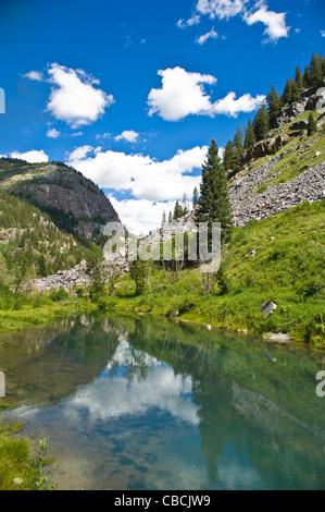 Animas River ist ein Fluss 126-Meile-langen (203 km) im Westen der Vereinigten Staaten, einem Nebenfluss des San Juan Rivers. Colorado Stockfoto