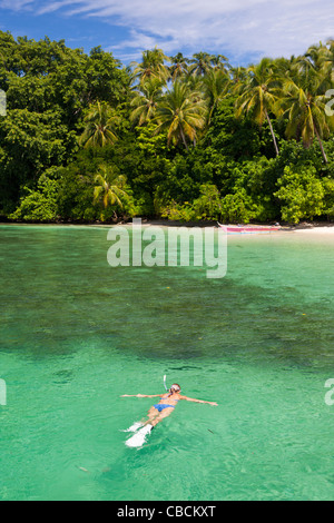 Schnorcheln in der Lagune von Ahe Insel, Cenderawasih-Bucht, West-Papua, Indonesien Stockfoto