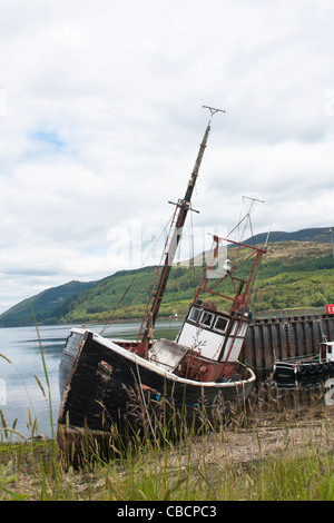 Boot, gestrandet, gestrandet, Fäulnis, Stockfoto
