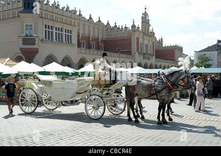 Pferd & Beförderung am Marktplatz Rynek Główny Stockfoto