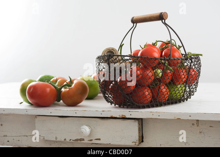 Tomaten Reifen auf Tisch Stockfoto