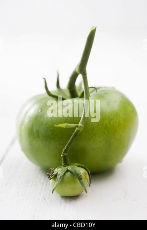 Grüne Tomaten Stockfoto