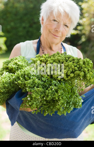 Ältere Frau mit Bund frische Kräuter in ihrer Schürze Stockfoto