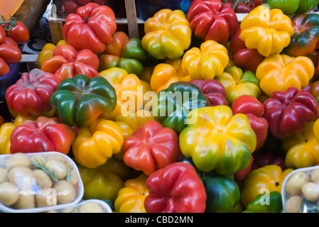 Verschiedene frische Paprika im Markt Stockfoto