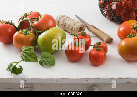 Frische Tomaten auf Tisch mit String und Küche Messer Stockfoto