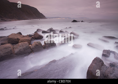 Nebel überrollen Felsiger Strand Stockfoto