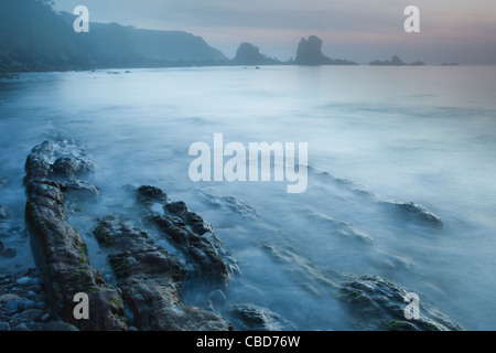 Nebel überrollen Felsiger Strand Stockfoto