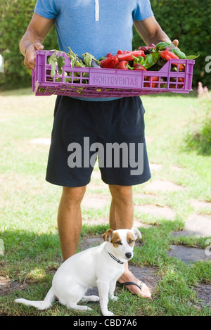 Männer stehen im Freien mit Hund, Transport Kiste voll mit frischem Gemüse Stockfoto