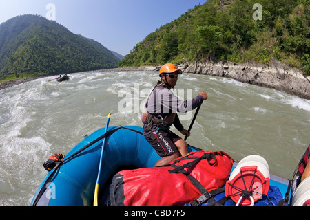 Nepali Guide Lenkung Boot auf Wildwasser-rafting-Tour auf Sun Kosi Fluß, Nepal, Asien Stockfoto