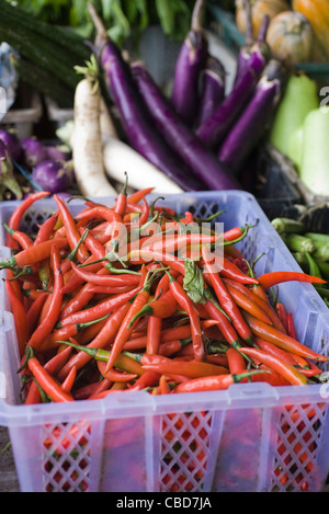Kiste mit Chili-Schote mit anderen Gemüsesorten in Marktstand Stockfoto