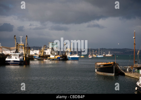 Brixham Hafen mit Fischmarkt im Hintergrund, die Brixham Fischereiflotte im Hafen, Brixham, Angeln, Boot, Brixham Fischmarkt Stockfoto