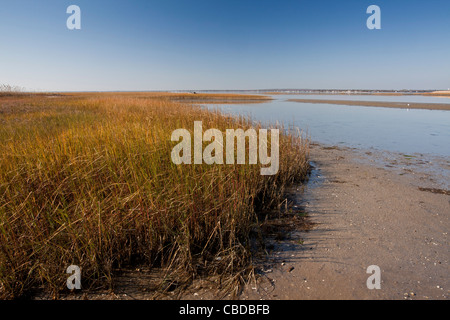 Salzwiesen und Wattflächen in Shinnecock County Park, Hampton Bays, Long Island, NY. Stockfoto