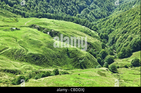 Vulkanische Plateau befindet sich in das Zentralmassiv zwischen Puy Griou und Puy Mary in der Auvergne-Cantal Region Frankreichs. Stockfoto