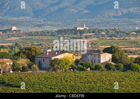 Landschaft mit Bergen im Hintergrund in der Nähe von Gignac in Hérault in Languedoc-Roussillon Stockfoto