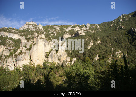 Kalksteinfelsen und Wald in der Nähe der Stadt Entraygues, Frankreich Stockfoto