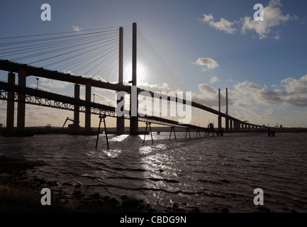 Die Queen Elizabeth Brücke bei Dartford - Thurrock. Stockfoto