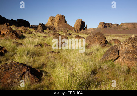 WASHINGTON - Basalt Steinen und Säulen im Sun Lakes-Dry fällt State Park in der unteren Grand Coulee. Stockfoto