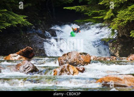 Ein Mann Kajak eine Reihe von kleinen Wasserfällen, Snoqualmie River (South Fork), Washington, USA. Verlieben Sie sich in die Wandfläche. Stockfoto