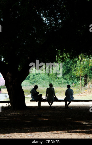 Drei indische Männer sitzen unter einem Baum in der indischen Landschaft sprechen. Silhouette. Andhra Pradesh, Indien Stockfoto