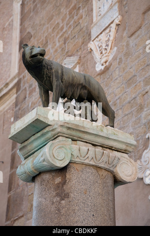 Romulus und Remus Wolf-Denkmal auf dem Kapitol - Kapitol, Rom, Italien Stockfoto