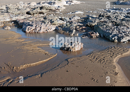 Rockpool Ogmore Beach Stockfoto