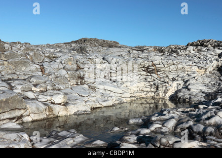 Rockpool Ogmore Beach Stockfoto