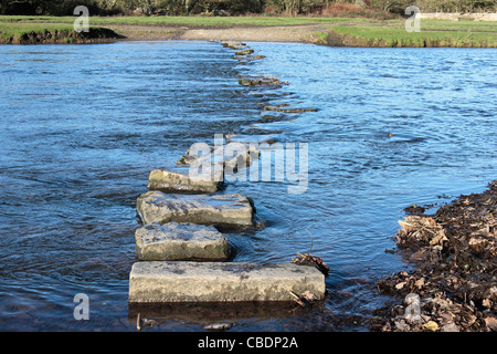 Trittsteine über den Fluss Ewenny, Ogmore Burg Stockfoto