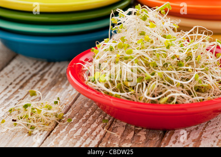 Klee und Brokkoli Rosenkohl in roten Schüssel auf Grunge Holz Tisch Stockfoto