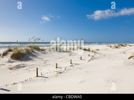 Sanddünen in der Perdido Key Bereich der Gulf Islands National Seashore in der Nähe von Pensacola, Florida Stockfoto