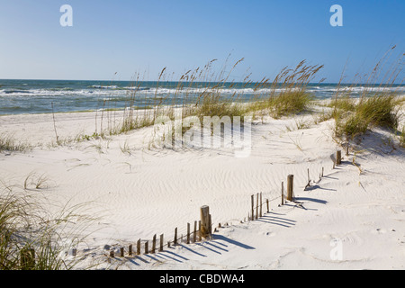 Sanddünen in der Perdido Key Bereich der Gulf Islands National Seashore in der Nähe von Pensacola, Florida Stockfoto