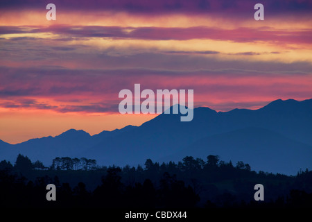 Sonnenuntergang über der Knysna Forest in die Garden Route, Südafrika Stockfoto