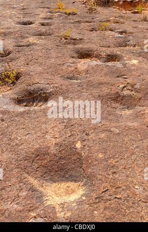 Versteinerte Dinosaurierspuren im Nationalpark Torotoro, Bolivien - Kreide-Periode Stockfoto