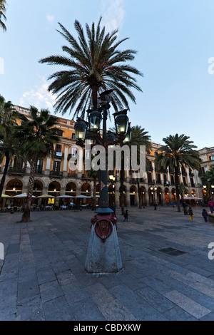 Straßenlaterne entworfen von Anton Gaudì Palmen und traditionell gestaltet Gebäude der Placa Reial, in Barcelona, Spanien Stockfoto