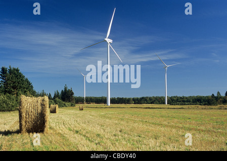 West Cape Wind Farm in Prince Edward Island, Kanada; Windkraftanlagen über Ländereien, kürzlich geerntetem Heu Felder angezeigt Stockfoto