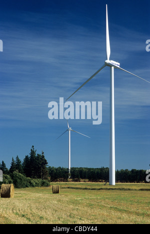 West Cape Wind Farm in Prince Edward Island, Kanada; Windkraftanlagen über Ländereien, kürzlich geerntetem Heu Felder angezeigt Stockfoto