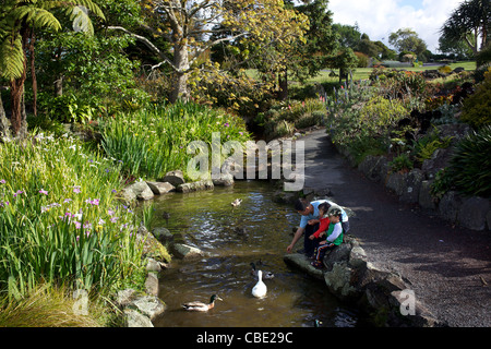 Eine Familie füttern die Enten in Auckland Botanic Gardens. Auckland, New Zealand, 11. November 2010. Stockfoto