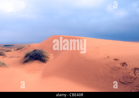 Wüste Sand Dune fotografiert in Israel Negev-Wüste Stockfoto