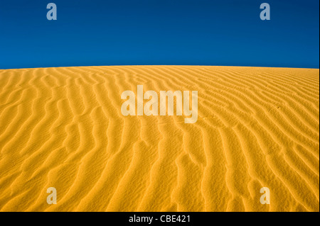 Wüste Sand Dune fotografiert in Israel Negev-Wüste Stockfoto