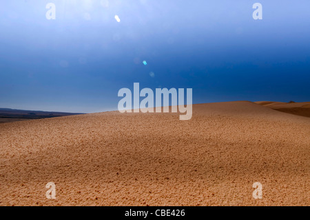 Wüste Sand Dune fotografiert in Israel Negev-Wüste Stockfoto