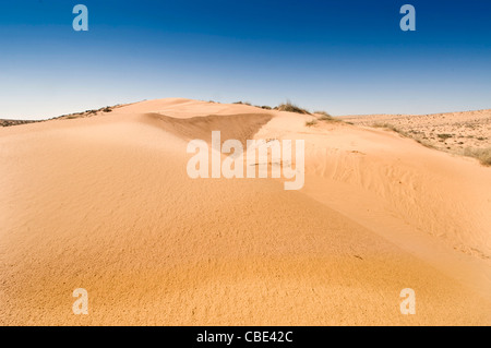 Wüste Sand Dune fotografiert in Israel Negev-Wüste Stockfoto