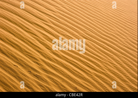 Wüste Sand Dune fotografiert in Israel Negev-Wüste Stockfoto