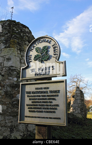 Die Ankerwycke-Eibe ist eine alte Eibe in der Nähe der Ruinen von Str. Marys Priorat, in der Nähe von Wraysbury in Berkshire, England. Stockfoto