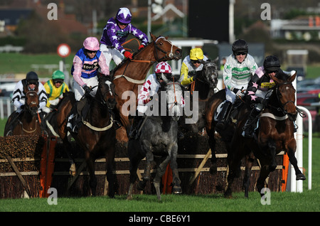 Rennpferde und Jockeys in Aktion über einen Sprung in ein Pferderennen Stockfoto