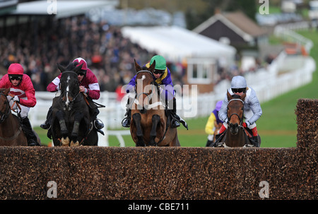 Rennpferde und Jockeys in Aktion über einen Sprung in ein Pferderennen Stockfoto