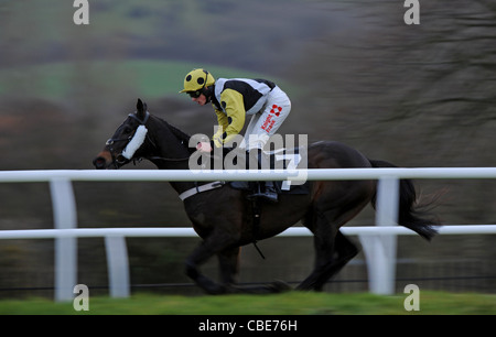 Rennpferd und Jockeys in Aktion bei einem Pferderennen Stockfoto