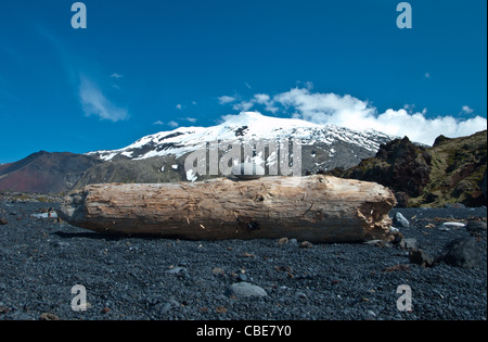 Snefellsjokul Gletscher von Djupalonssandur, Snefellsnes National Park. Island.   Treibholz und Steinen. Stockfoto