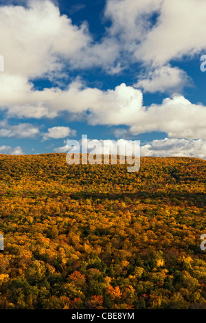 Herbstliche Farben unter die Haube des Ottawa National Forest und Porcupine Mountains Wildnis in obere Halbinsel von Michigan. Stockfoto